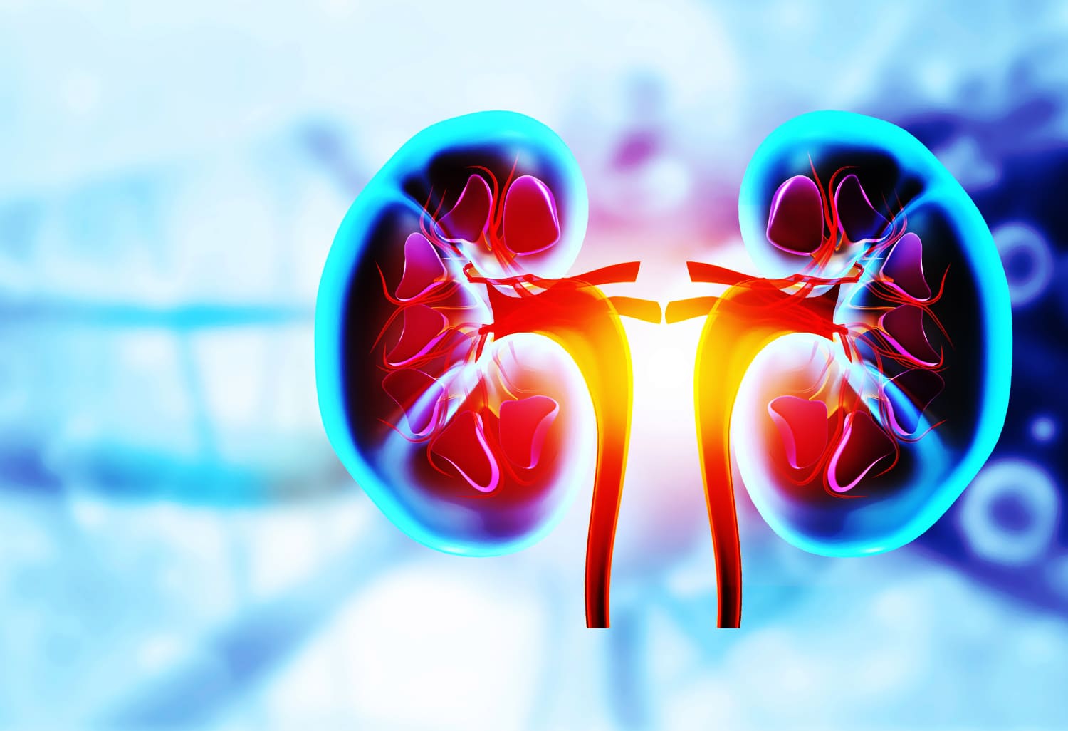 Kidney Cupping Therapy Singapore, Recommended Kidney Cupping Center in Singapore